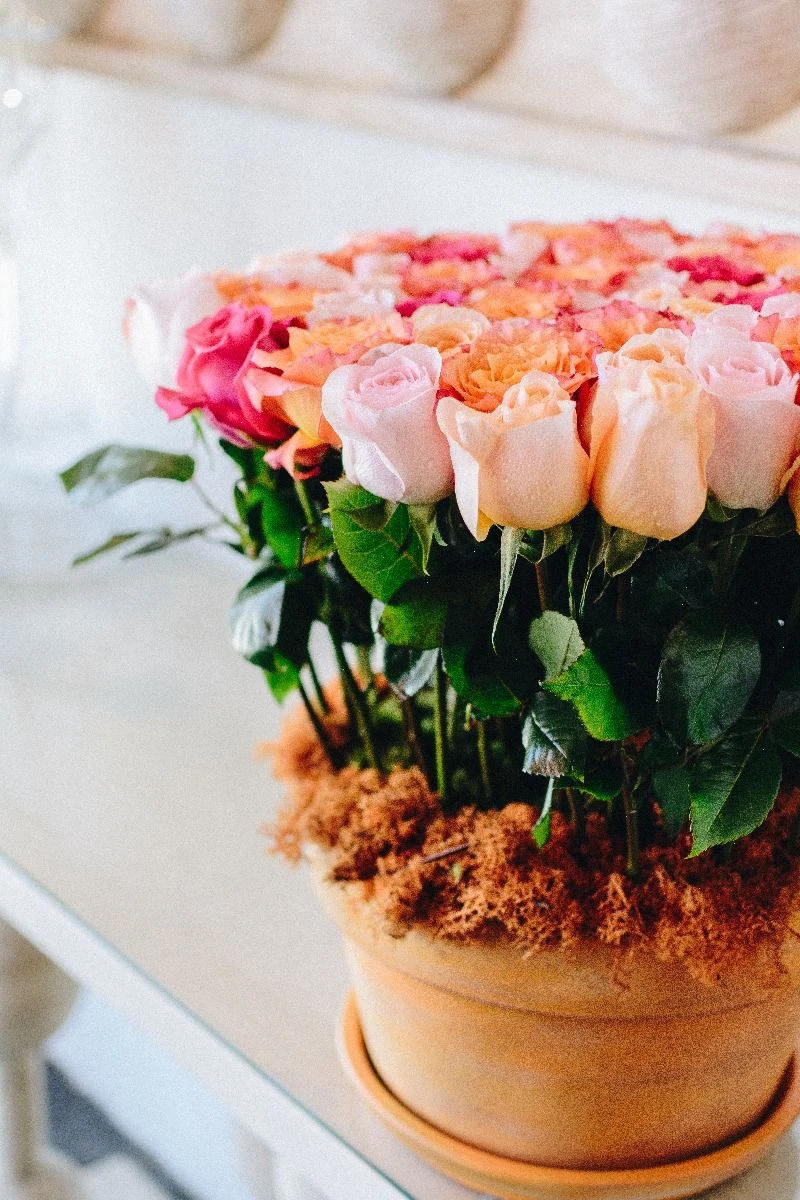 The Flower Pot 6 The Flower Pot - Image 4