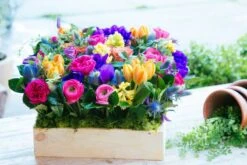 The Tropic Feeling (14" X 14") 9 The Tropic Feeling (14" X 14") -Flower Gift Shop tf031816 1 1