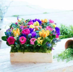 The Tropic Feeling (12" X 12")