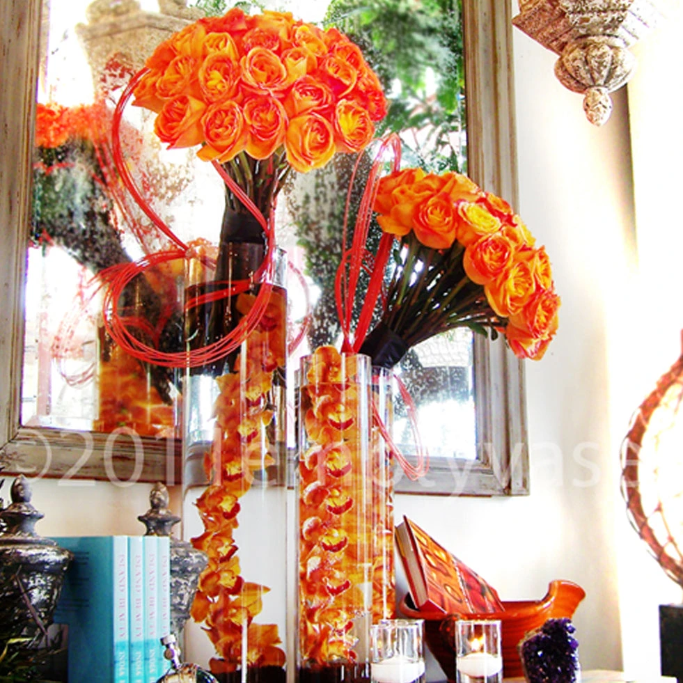 The Orange 3 The Orange