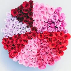 The Rose Kaleidoscope