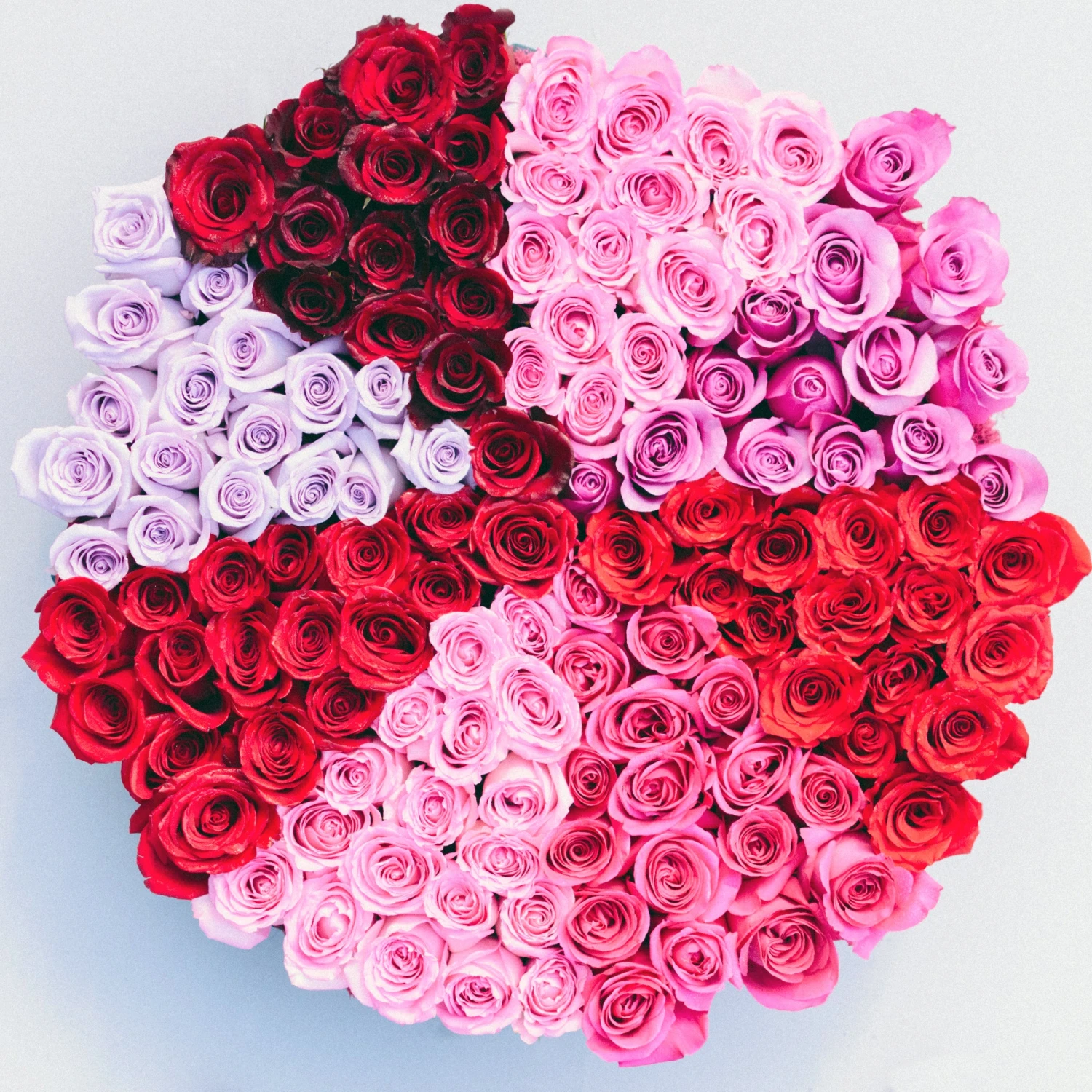 The Rose Kaleidoscope 3 The Rose Kaleidoscope