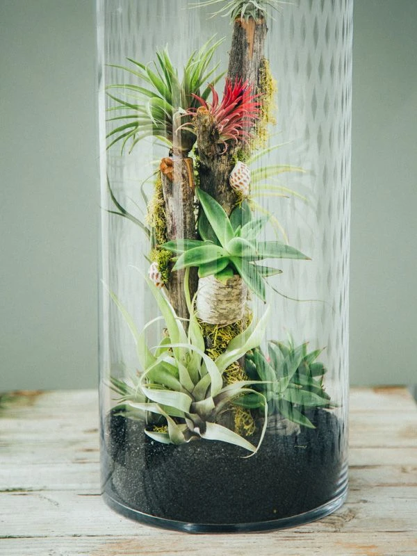 The Amazonian Touchstone 5 The Amazonian Touchstone - Image 3