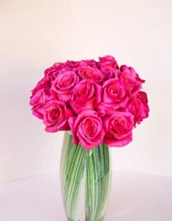 Flower Gift Shop -Flower Gift Shop theblushingsiren