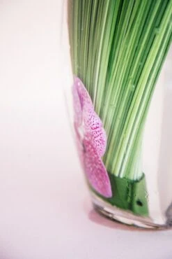 The Blushing Siren -Flower Gift Shop theblushingsiren2