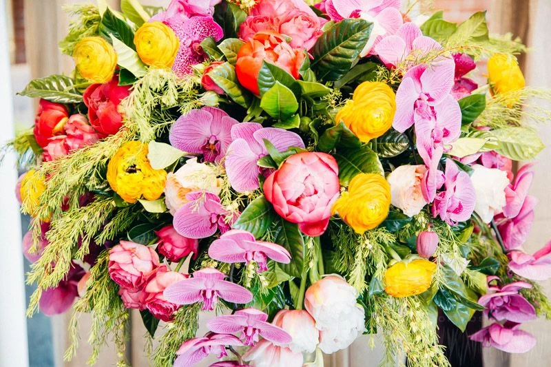 The Cascading Orchid 5 The Cascading Orchid - Image 3