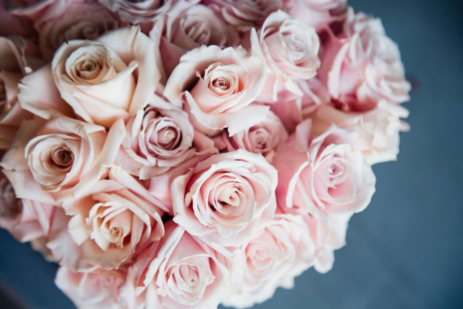 The Charlotte 4 The Charlotte - Image 2