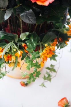 The Citrine Forest -Flower Gift Shop thecitrineforest1