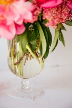 The Coral Princess -Flower Gift Shop thecoralprincess2