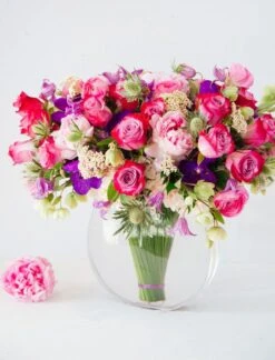 The Coral Spectrum -Flower Gift Shop thecoralspectrum2