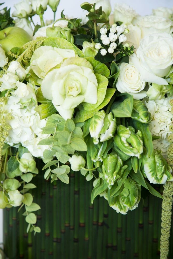 The Dove Of Autumn 4 The Dove Of Autumn - Image 2