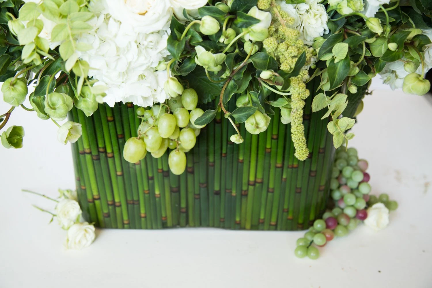 The Dove Of Autumn 5 The Dove Of Autumn - Image 3