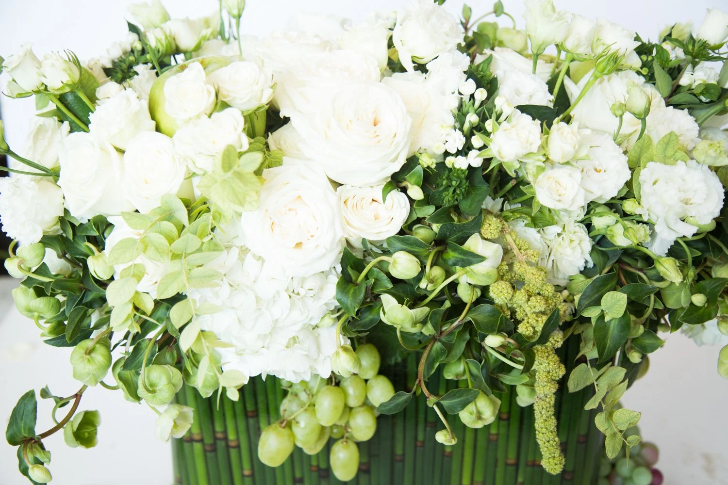 The Dove Of Autumn 6 The Dove Of Autumn - Image 4