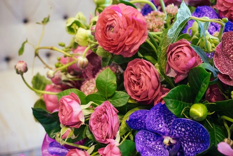 The Floating Orchid Dream 6 The Floating Orchid Dream - Image 4