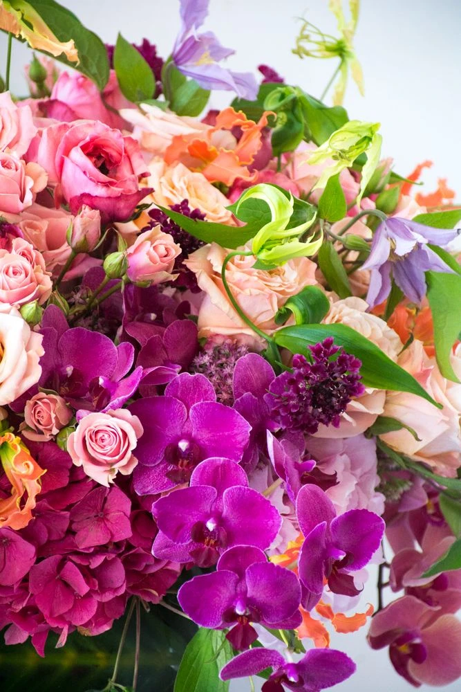 The Garden Duchess 4 The Garden Duchess - Image 2