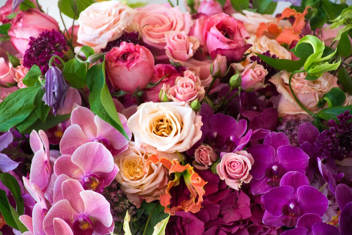 The Garden Duchess 5 The Garden Duchess - Image 3