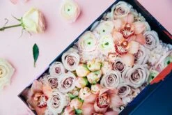 The Gatsby And Daisy -Flower Gift Shop thegatsbyanddaisy1