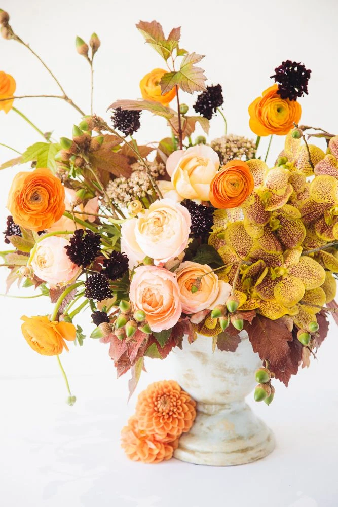 The Golden Cottage 4 The Golden Cottage - Image 2