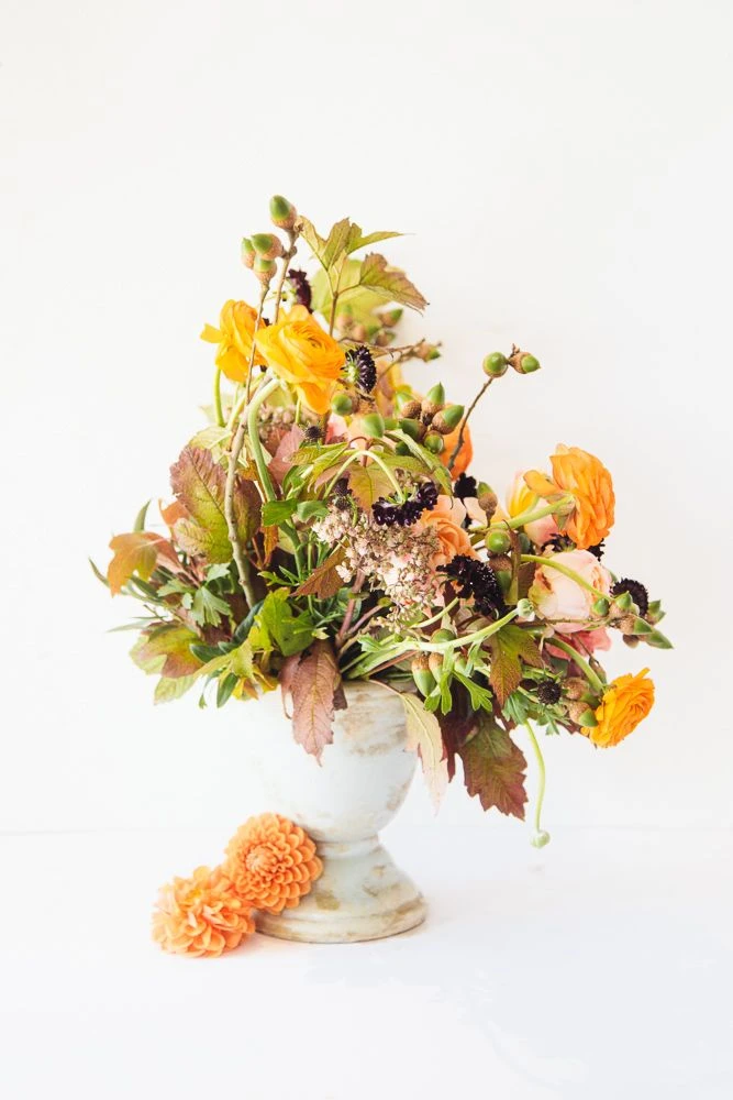 The Golden Cottage 5 The Golden Cottage - Image 3