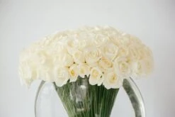 The Kitsune 9 The Kitsune -Flower Gift Shop thekitsune2