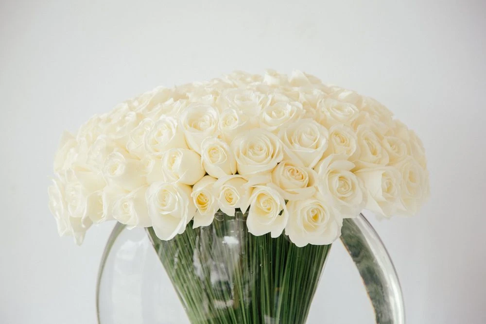 The Kitsune 6 The Kitsune - Image 4