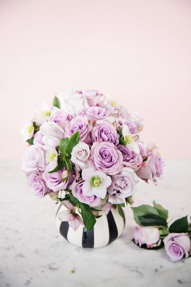 The Lavender Lover 4 The Lavender Lover - Image 2