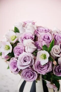 The Lavender Lover 8 The Lavender Lover -Flower Gift Shop thelavenderlover1