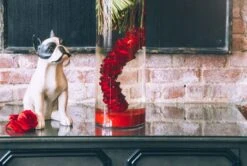 The Moulin Rouge -Flower Gift Shop themoulinrouge1