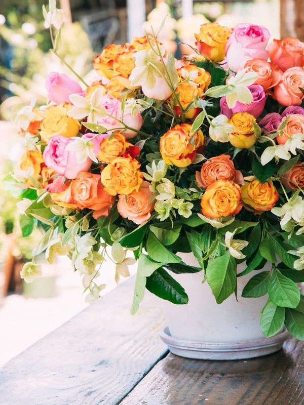 The Mystic Breeze 4 The Mystic Breeze - Image 2