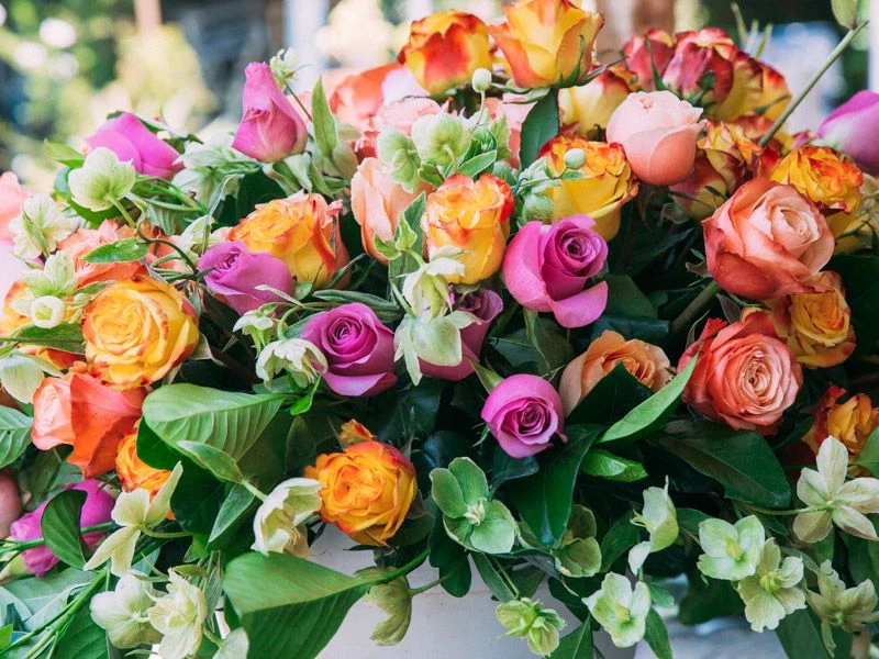 The Mystic Breeze 5 The Mystic Breeze - Image 3