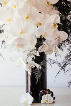 The Princess Of Monaco 8 The Princess Of Monaco -Flower Gift Shop theprincessofmonaco1