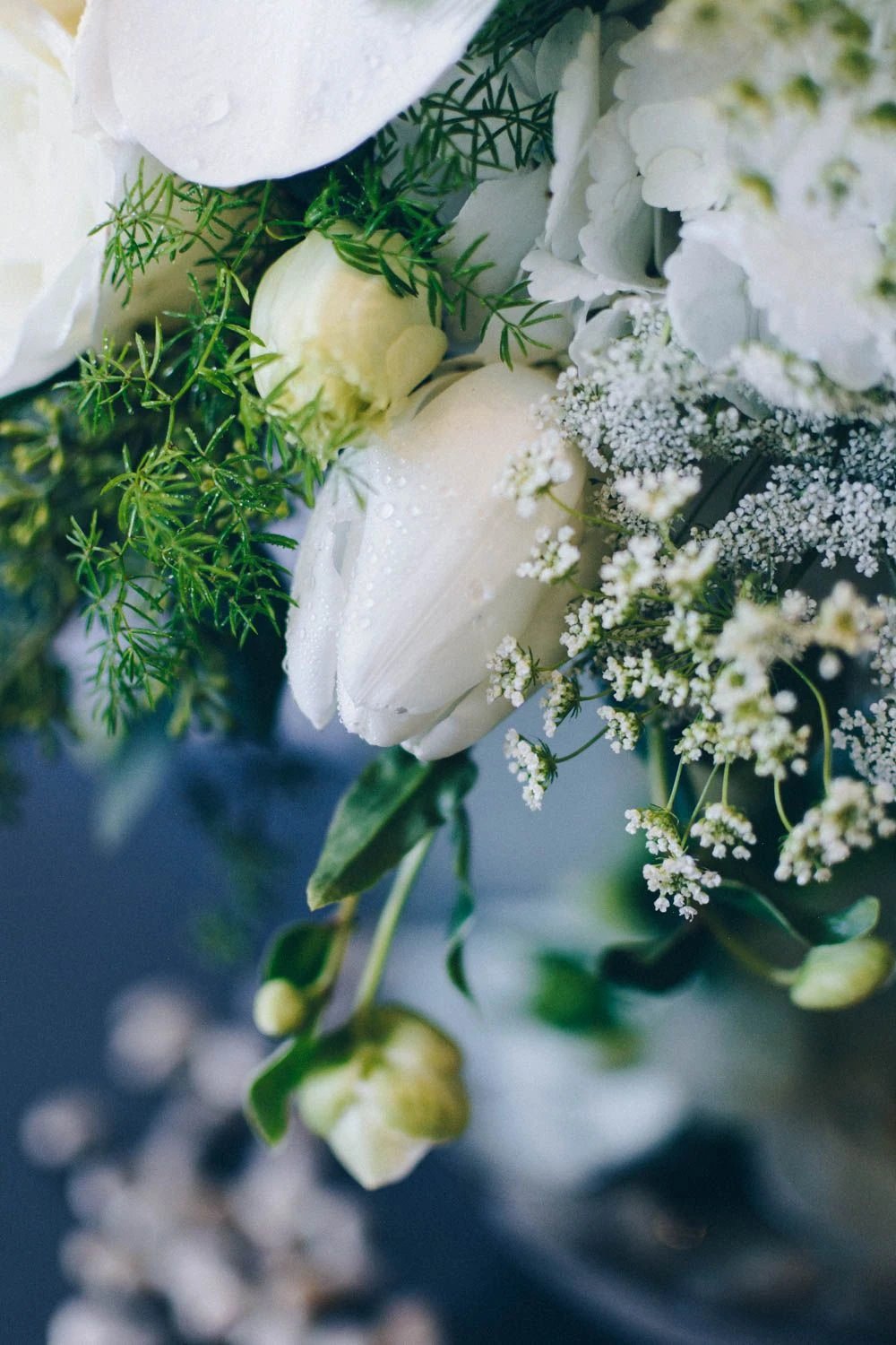 The Rainforest 5 The Rainforest - Image 3