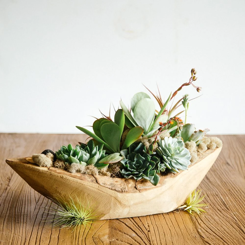 The River Spirit 4 The River Spirit - Image 2