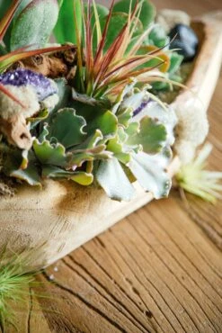 The River Spirit 9 The River Spirit -Flower Gift Shop theriverspirit2