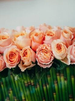 The Rose Bellini -Flower Gift Shop therosebellini1