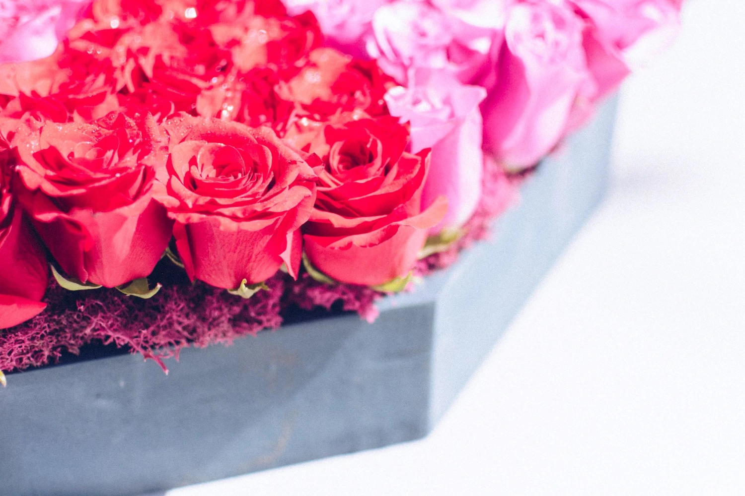 The Rose Kaleidoscope 4 The Rose Kaleidoscope - Image 2