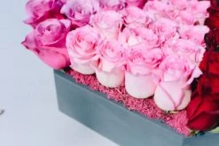 The Rose Kaleidoscope 9 The Rose Kaleidoscope -Flower Gift Shop therosekaleidoscope2