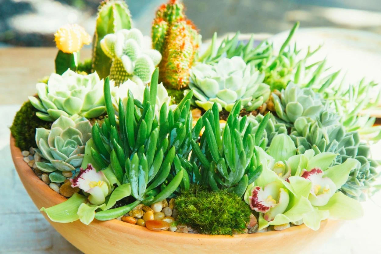 The Saharan Escape 4 The Saharan Escape - Image 2