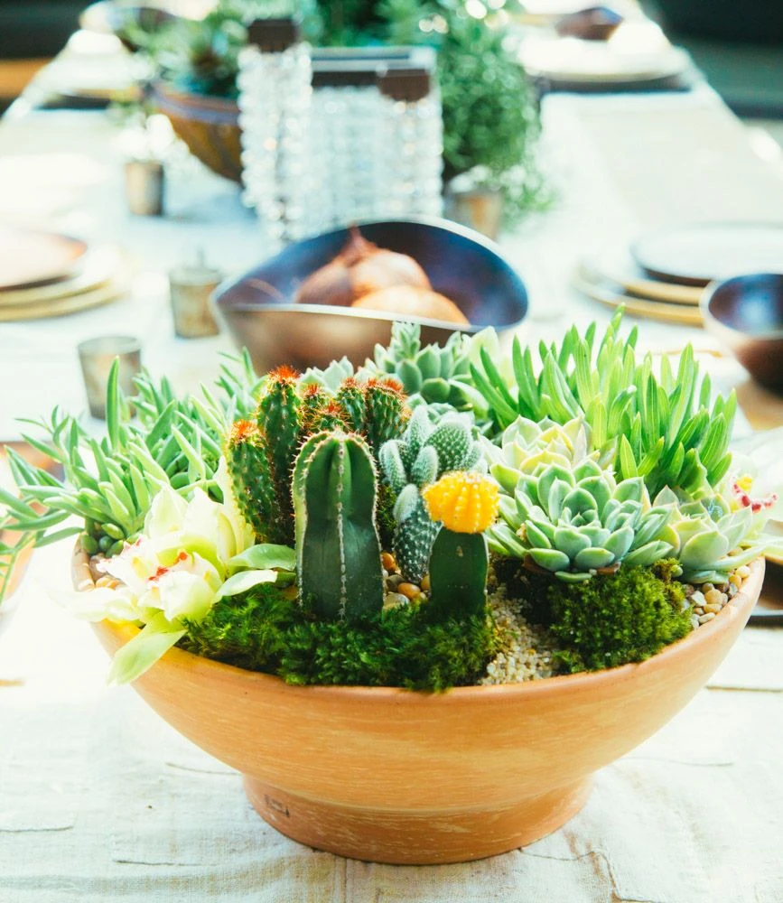 The Saharan Escape 5 The Saharan Escape - Image 3