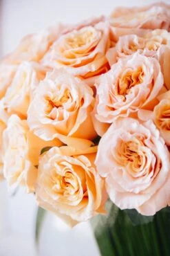 The Santorini Rose -Flower Gift Shop thesantorinirose2