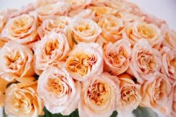 The Santorini Rose -Flower Gift Shop thesantorinirose3