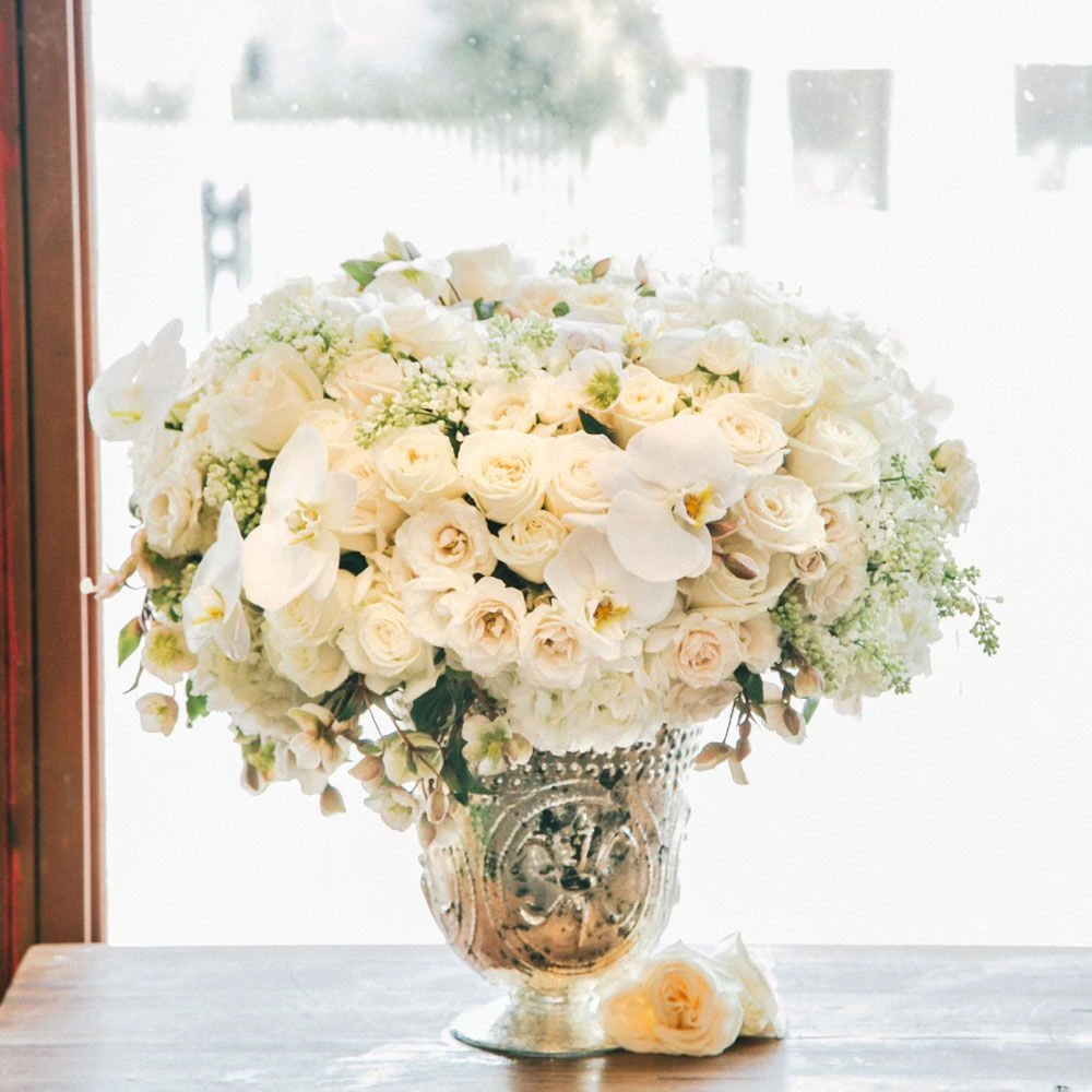 The Swan's Dance 4 The Swan's Dance - Image 2