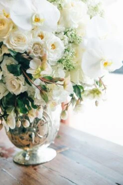 The Swan's Dance 8 The Swan's Dance -Flower Gift Shop theswansdance1