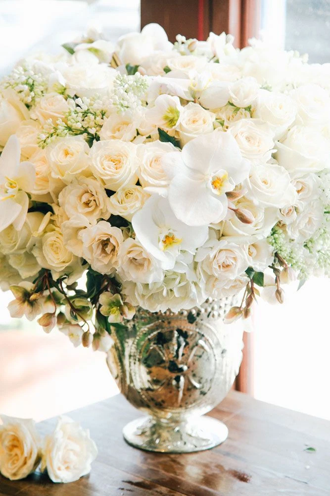 The Swan's Dance 6 The Swan's Dance - Image 4