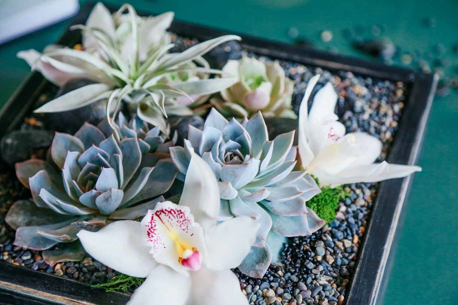 The Ukiyo 4 The Ukiyo - Image 2