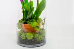 The Veiled Dream -Flower Gift Shop theveileddream1