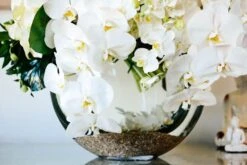 The Waltz -Flower Gift Shop thewaltz2