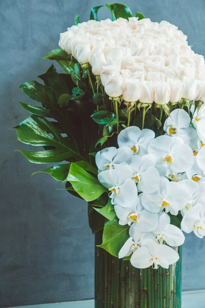 The Way By Swans 4 The Way By Swans - Image 2