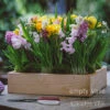 Springtide -Flower Gift Shop thumbnail 5 1