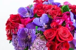 Technicolor Lover -Flower Gift Shop tl011516 1 5